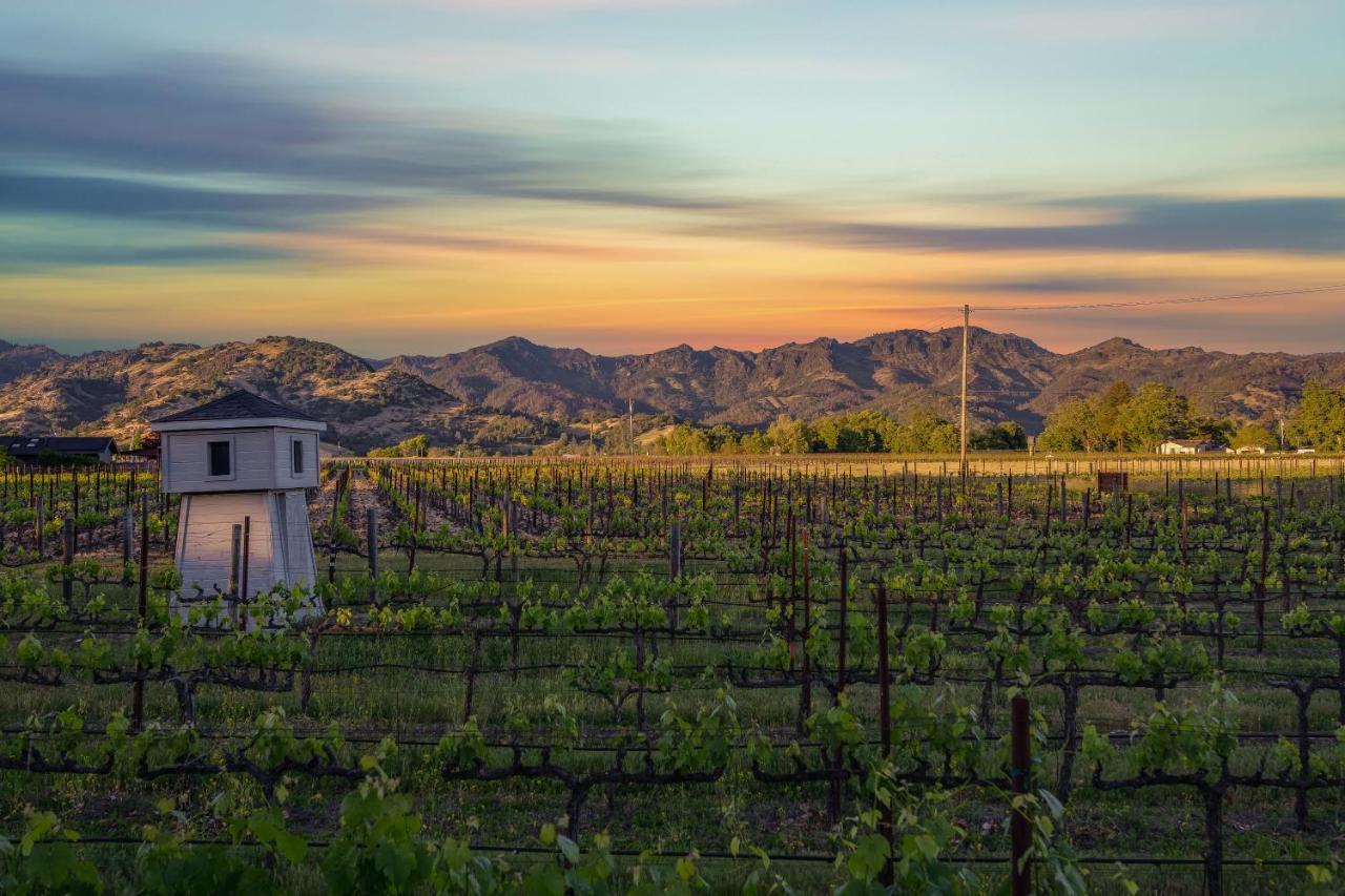 Chateau De Vie Calistoga Bagian luar foto